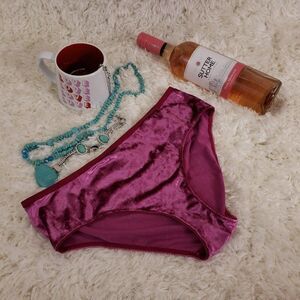 VS Fuchsia Velvet Logo Hipster HIPHUGGER Large Nwt